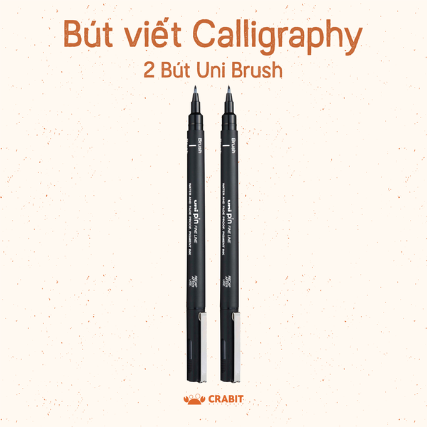 Combo 2 bút luyện viết chữ Calligraphy chuyên dụng