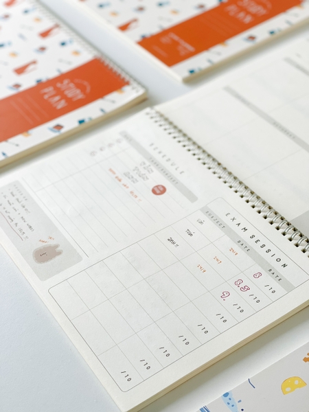 Study Plan - Chuột