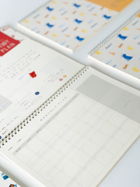 Study Plan - Chuột