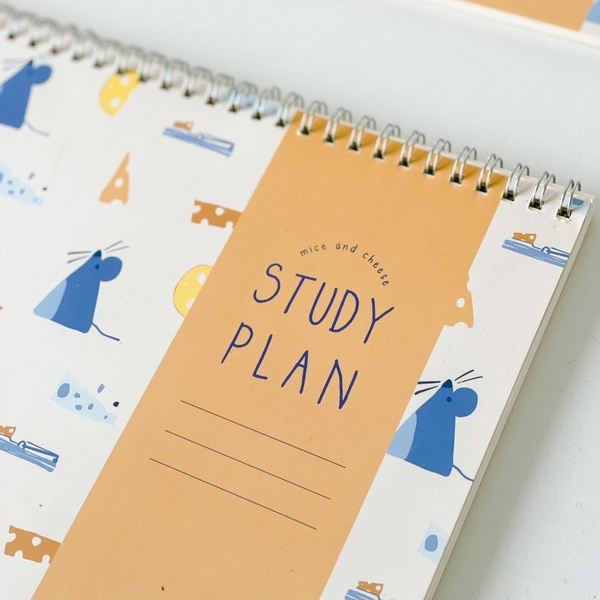 Study Plan - Chuột