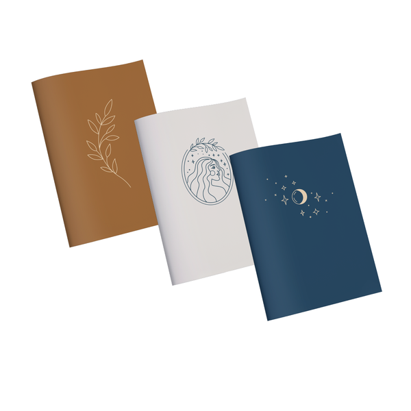 Combo 3 vở kẻ ngang nhũ - 80trang