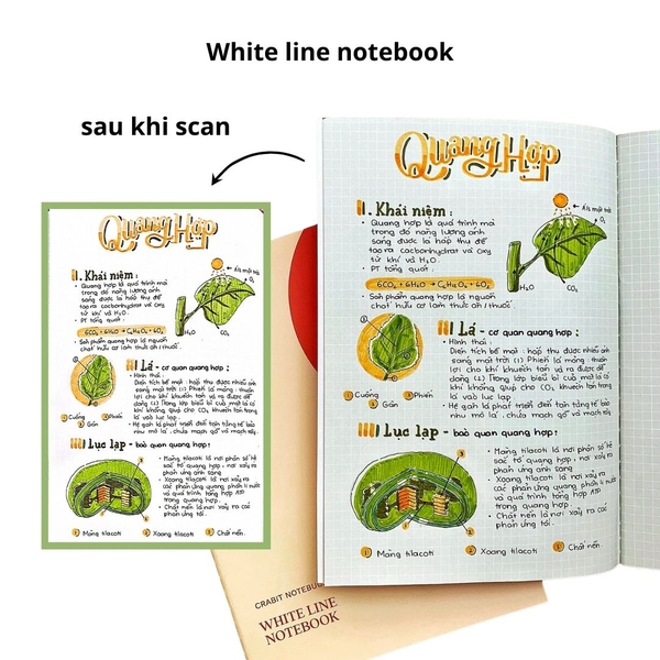 Vở white line may gáy 80 trang 100gsm - Vàng đỏ