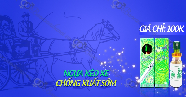 thuốc xịt ngựa kéo xe longtime ngựa thái