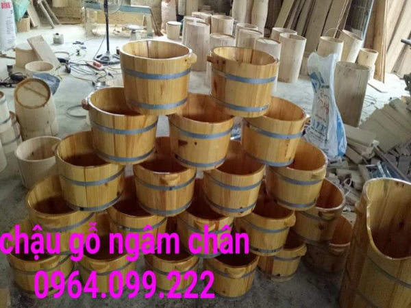 Châu gỗ Ngân Chân  giá rẻ