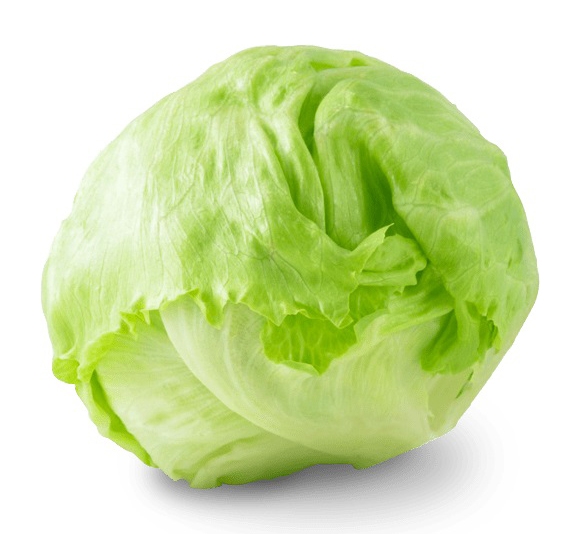 American-Variety Iceberg Lettuce (Da Lat) 500g - 600g