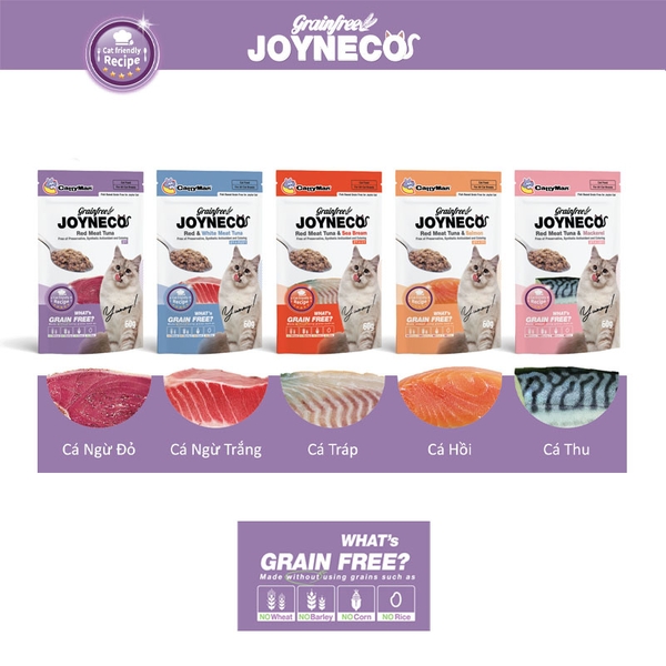 Pate cho mèo CattyMan Joyneco 60g