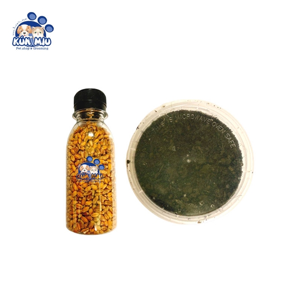 Set Hạt Giống Cỏ Mèo Lọ 100G + Đất Hữu Cơ Kún Miu – Kún Miu Pet Shop & Grooming