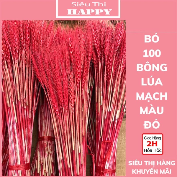 Bó 100 Bông Lúa Mạch Khô Màu Đỏ trang trí Tết, nhà cửa - NC&ĐS