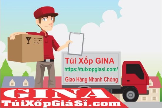 4 LỢI ÍCH To Lớn khi mua Túi Xốp Nilong Hột Xoài giá sỉ tại GINA