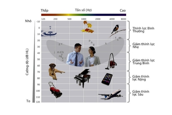 Mức độ giảm thính lực