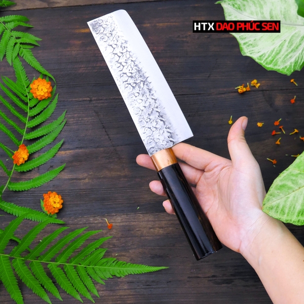 Dao usuba chống dính - N13TMDD