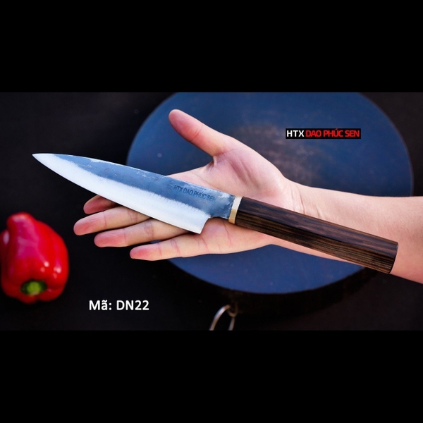 Dao thái lọc DN22