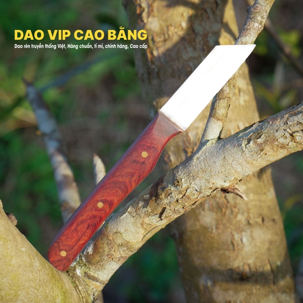 Dao ghép cành thép trắng - DRGK