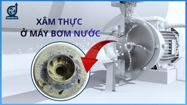 Làm thế nào để ngăn ngừa hiện tượng xâm thực ở bơm ?