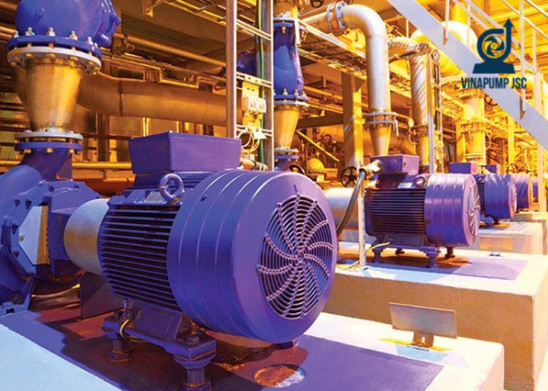 Top 3 máy bơm nhập khẩu được ưa chuộng nhất hiện nay