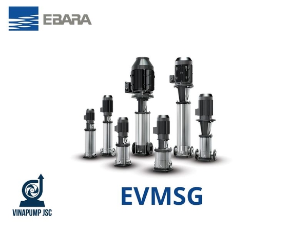 BẢNG GIÁ BƠM TRỤC ĐỨNG EVMSG EBARA MỚI NHẤT 2026