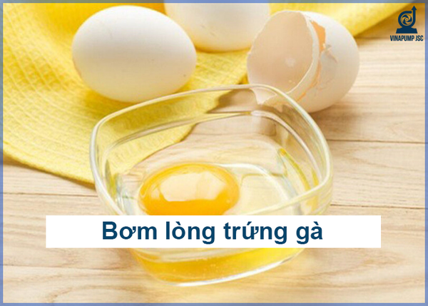 Bơm lòng trứng gà: Nên dùng loại bơm gì? Đặc điểm và thông số kỹ thuật