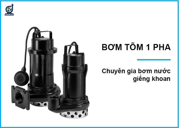 Bơm tõm 1 pha là gì? Giá máy bơm tõm 1 pha chính hãng?