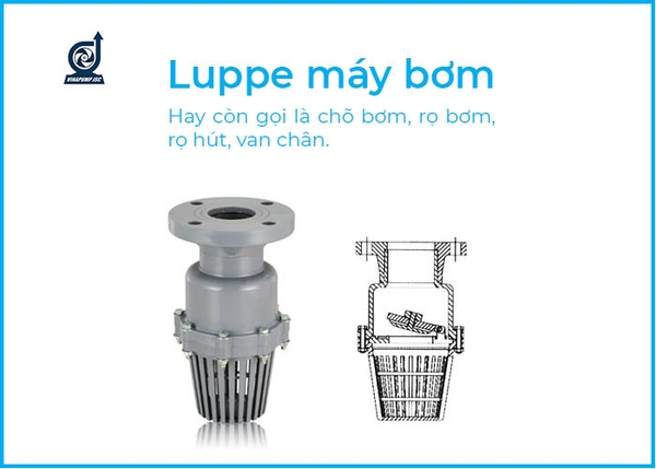 Luppe là gì? Cấu tạo Luppe và phân loại Luppe máy bơm