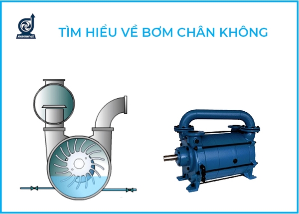 Bơm hút chân không là gì? Cấu tạo, nguyên lý, ứng dụng, bảng giá