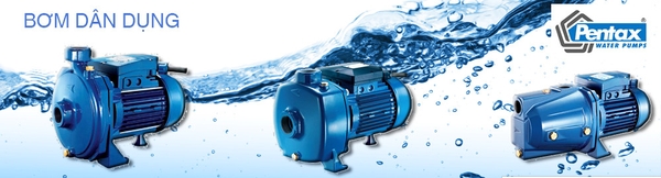 Bảng báo giá máy bơm nước dân dụng Pentax 2023