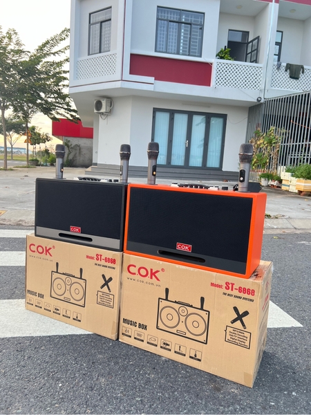 Loa Karaoke Xách Tay COK ST-6868 Bass Đôi 20cm 500w