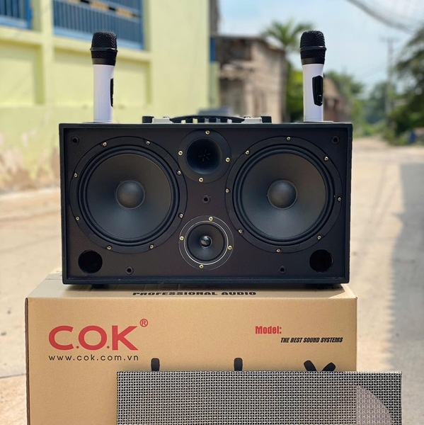 Loa Karaoke Xách Tay COK ST-226 Bass Đôi 20cm 500w