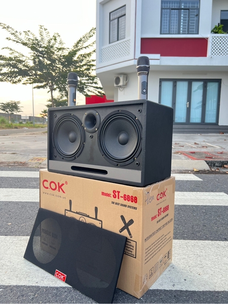 Loa Karaoke Xách Tay COK ST-6868 Bass Đôi 20cm 500w