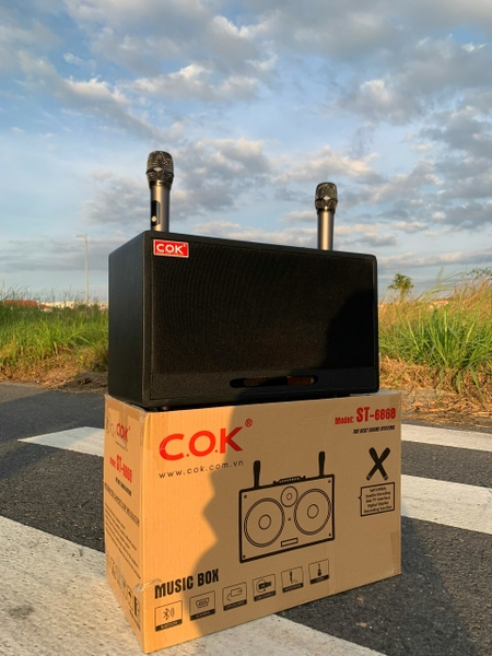 Loa Karaoke Xách Tay COK ST-6868 Bass Đôi 20cm 500w
