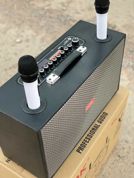 Loa Karaoke Xách Tay COK ST-226 Bass Đôi 20cm 500w