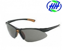 Kính BHLĐ King 313B