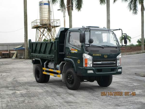 hoa-mai-4-95-tan-2-cau-2024