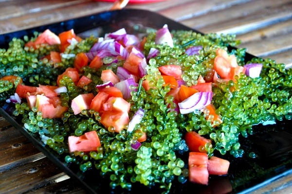 Hướng dẫn cách làm Salad rong nho cho người ăn kiêng tại nhà.