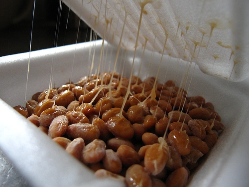 Bạn đã bảo quản Natto đúng cách? Cách làm Natto tại nhà đơn giản.