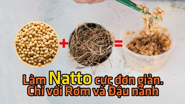Cách làm Đậu tương lên men Natto bằng rơm và đậu nành “cực đơn giản”.