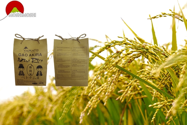 Gạo Nhật – Sản phẩm người nội trợ tin dùng cho bữa ăn gia đình.