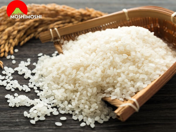 Gạo Japonica là gì