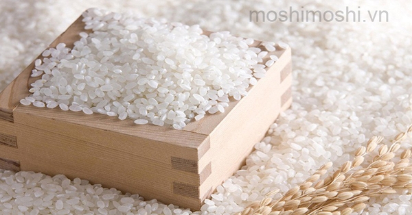 Cách nhận biết gạo sạch và gạo kém chất lượng chuẩn nhất