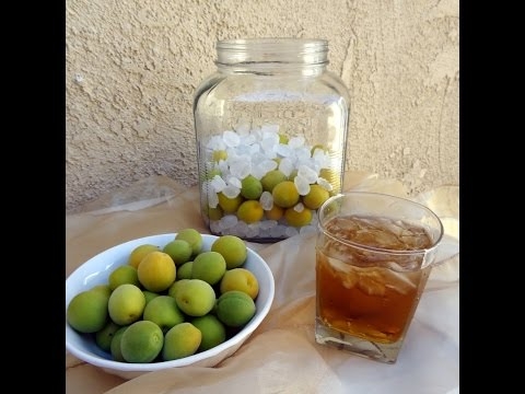 CÁCH LÀM RƯỢU MƠ (UMESHU)