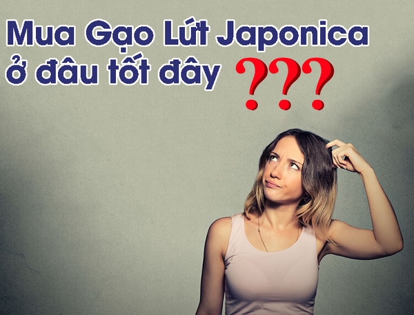 Gạo lứt Japonica mua ở đâu | Giá bao nhiêu tốt nhất ở TPHCM