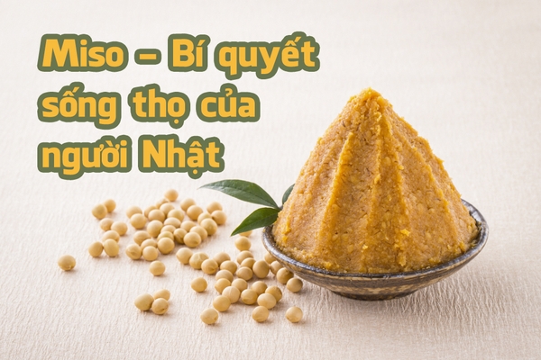 Tương Miso – một trong những bí quyết sống thọ của người Nhật.