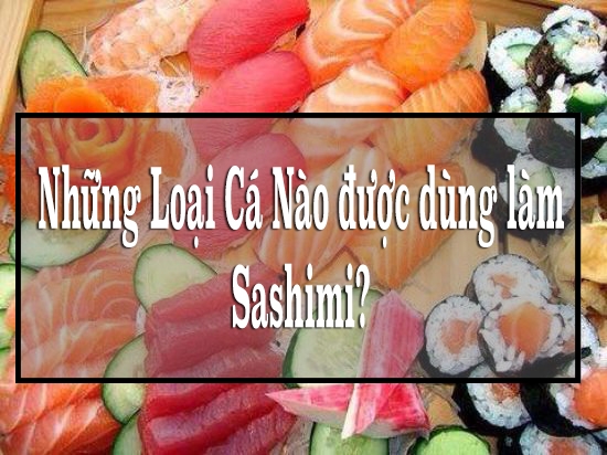 Những loại cá mà người Nhật thường dùng để ăn sống