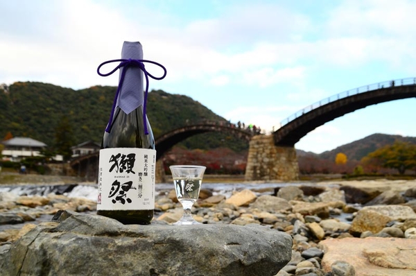 Rượu Sake Dassai cao cấp, vượt khỏi quy chuẩn của rượu Sake thông thường.