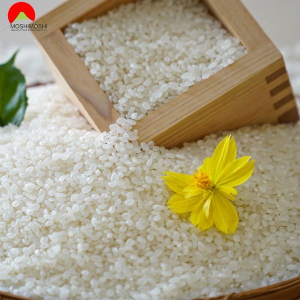 Cách nấu gạo Nhật Bản Akira Rice khô