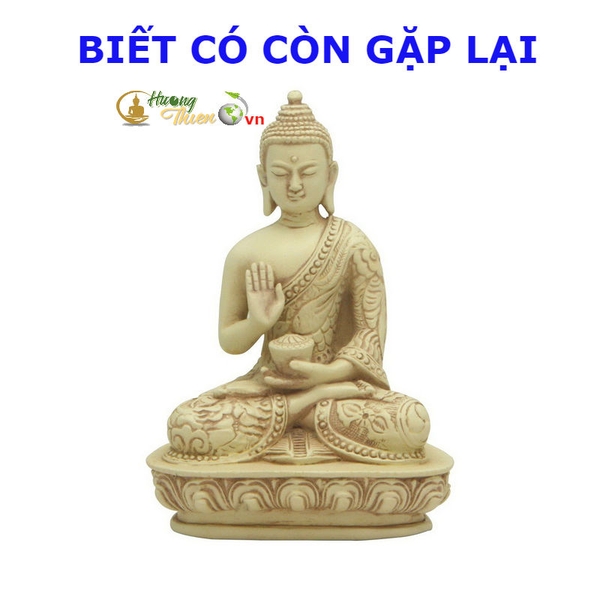 Biết có còn gặp lại