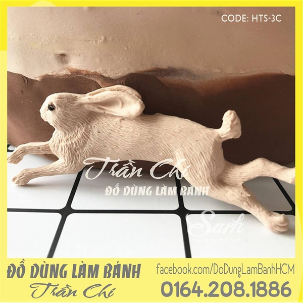 Hươu, Thỏ, Sóc 3c