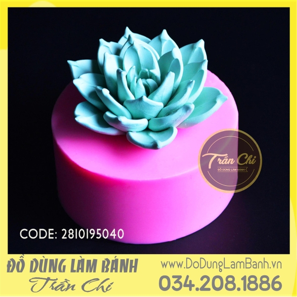 Khuôn silicone hoa Sen đá hồng xoắn