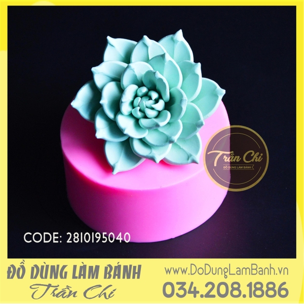 Khuôn silicone hoa Sen đá hồng xoắn