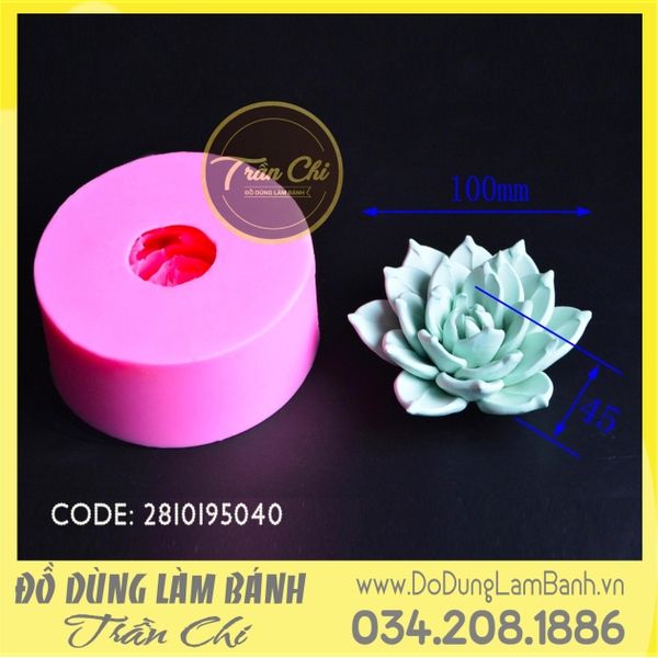 Khuôn silicone hoa Sen đá hồng xoắn