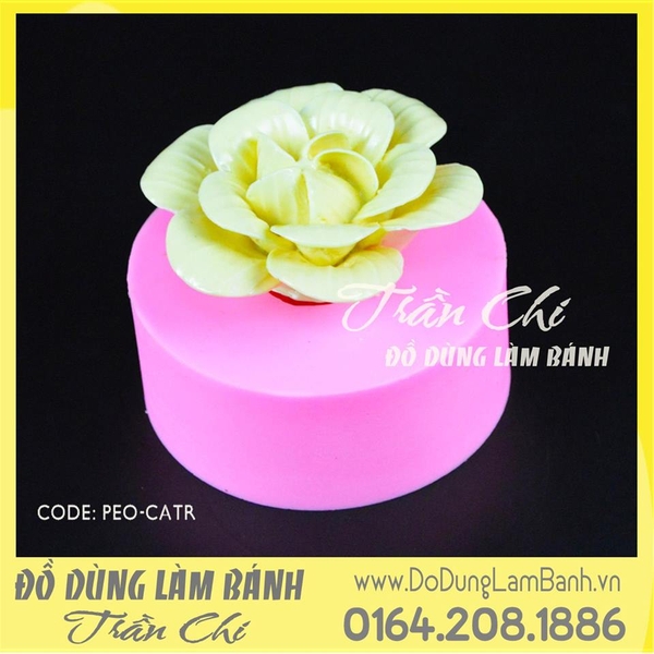 Mẫu đơn cánh tròn